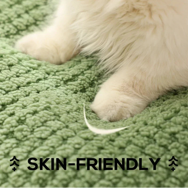 Legowisko dla zwierząt w kształcie żaby